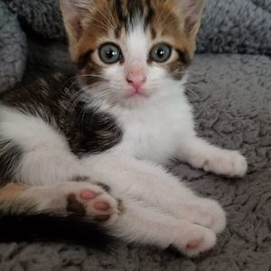 Meet your Posher, Terri